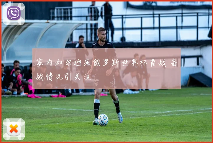 塞内加尔迎来俄罗斯世界杯首战 备战情况引关注