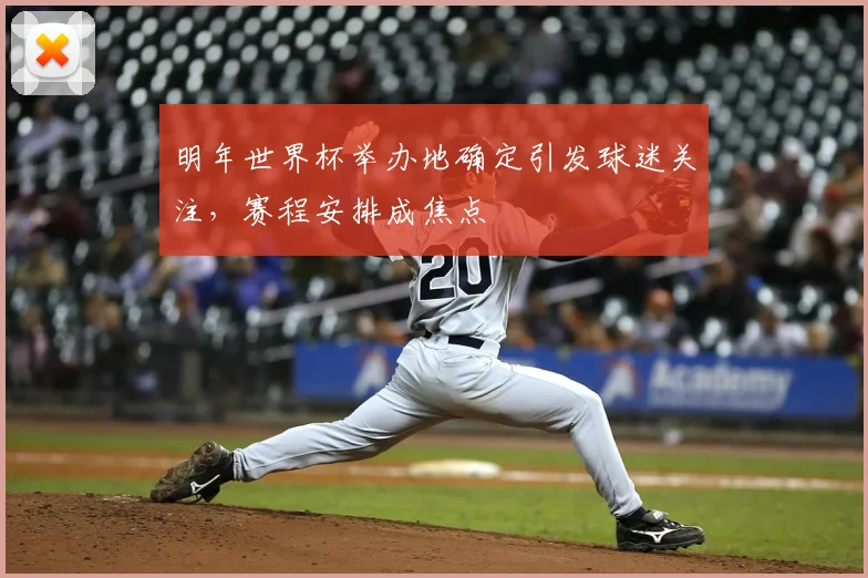 明年世界杯举办地确定引发球迷关注，赛程安排成焦点
